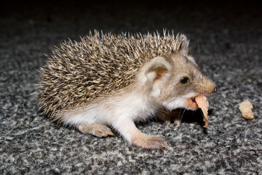 Similar image 1440876