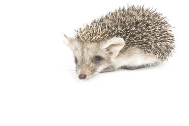 Similar image 1440877