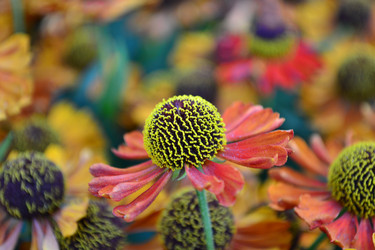 Similar image 1440894