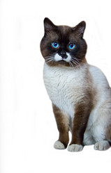 Similar image 1440913