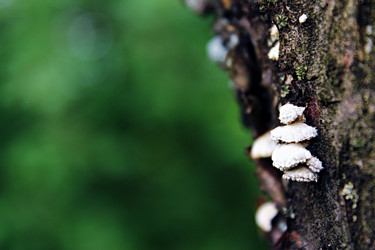 Similar image 1440930