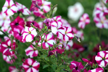 Similar image 1440950