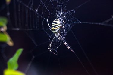 Similar image 1440964