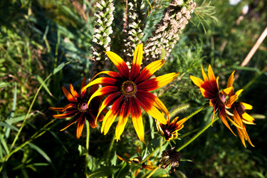 Similar image 1440965