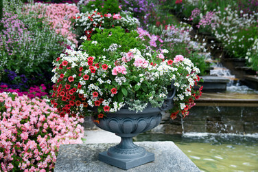 Similar image 1440973