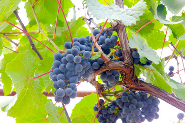 Similar image 1441021