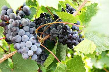 Similar image 1441023