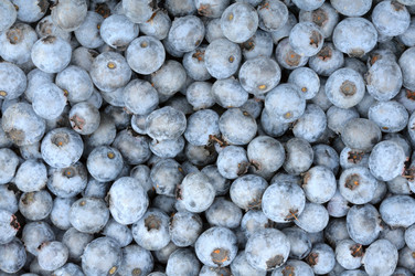 Similar image 1441037