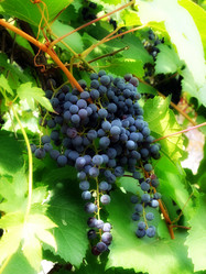 Similar image 1441041