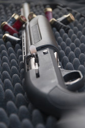 Similar image 1441049