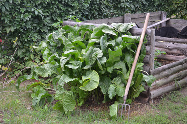 Similar image 1441068