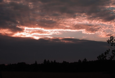 Similar image 1441087