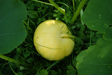 Similar image 1441090