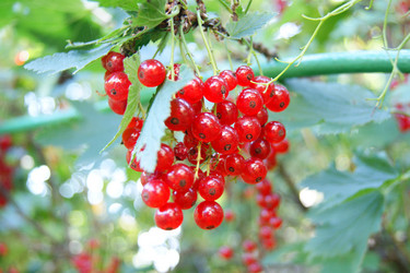 Similar image 1441091