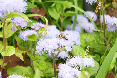 Similar image 1441092