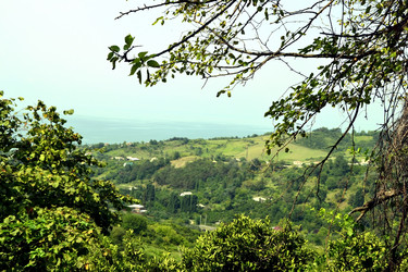 Similar image 1441127