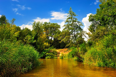 Similar image 1441139