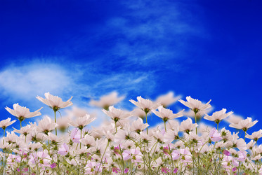 Similar image 1441201