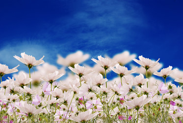 Similar image 1441202