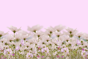 Similar image 1441203