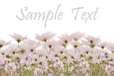 Similar image 1441204