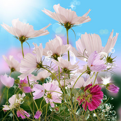 Similar image 1441207