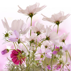 Similar image 1441208