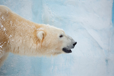 Similar image 1441306