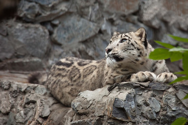 Similar image 1441307