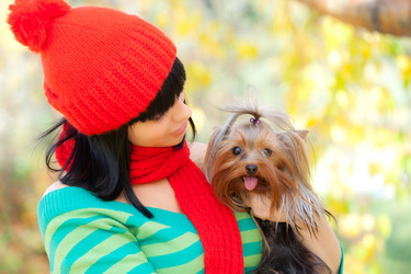 Similar image 1441311