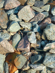 Similar image 1441327