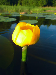 Similar image 1441330