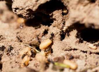 Similar image 1441346