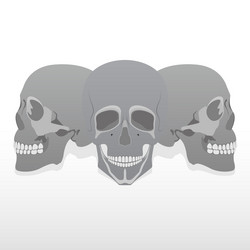 Similar image 1441374