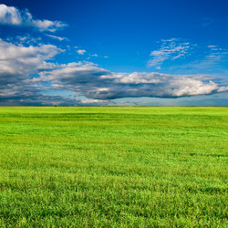 Similar image 1441417