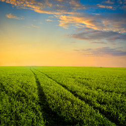 Similar image 1441419