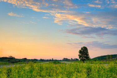 Similar image 1441425