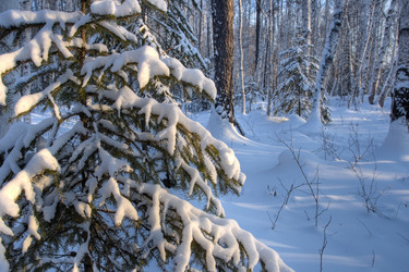 Similar image 1441427