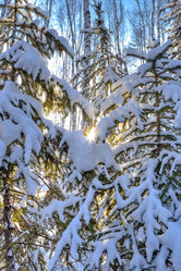 Similar image 1441429