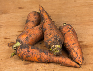 Similar image 1441436