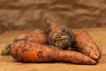 Similar image 1441437