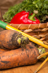 Similar image 1441438