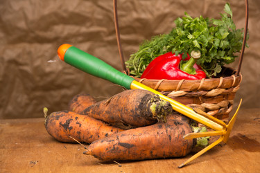 Similar image 1441439