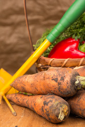 Similar image 1441441