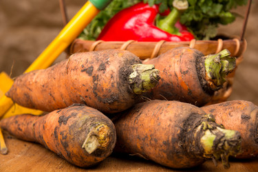 Similar image 1441442