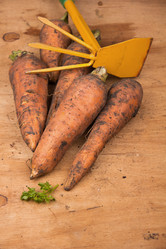 Similar image 1441443