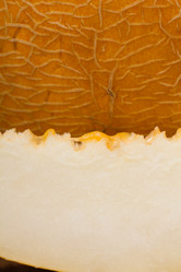 Similar image 1441445