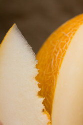 Similar image 1441451