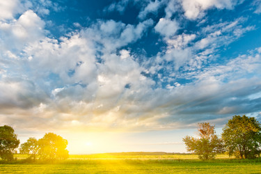 Similar image 1441453