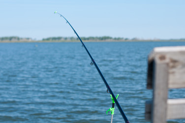 Similar image 1441528